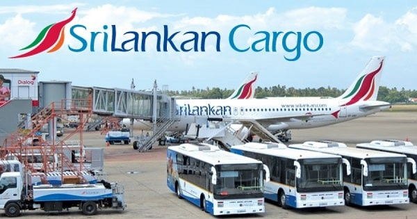Srilankan Cargo service Male-cover-image