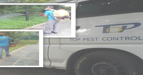 TOP PEST CONTROL-cover-image