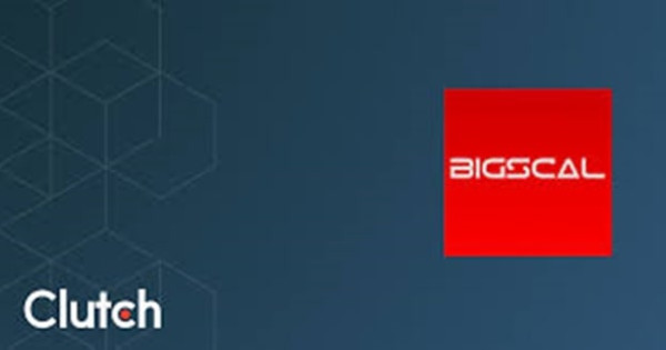 Bigscal Technologies Pvt. Ltd.-cover-image