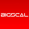 Bigscal Technologies Pvt. Ltd.-company-logo 137854