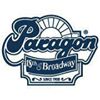 Paragon Sports-company-logo 106462