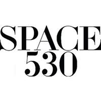Space 530-company-logo 114964