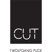 CUT NYC-company-logo 107323