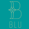 Blu on Park-company-logo 112431